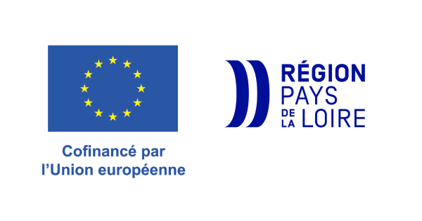 Montage UE region.png